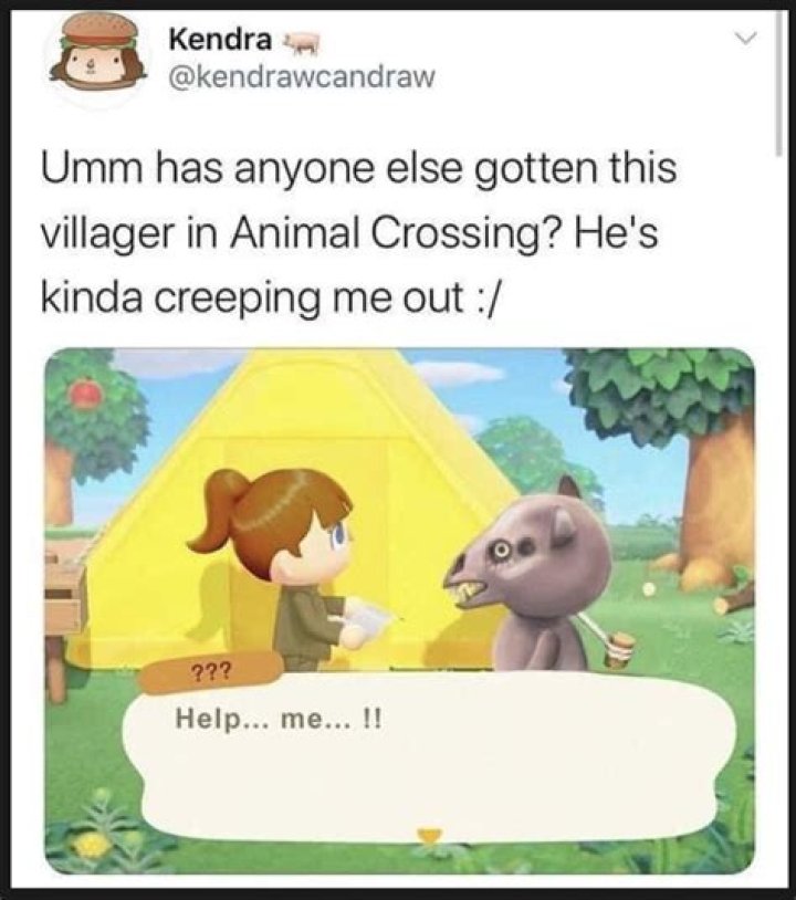 50+ Animal Crossing Memes only true fans will relate to