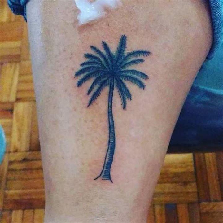 50 palm tree tattoo design ideas for men and women you will love