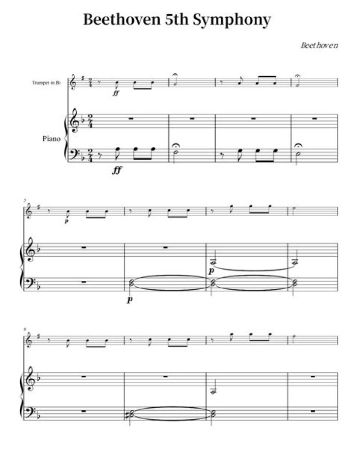 Beethoven 5Th by Apocalyptica from Finland