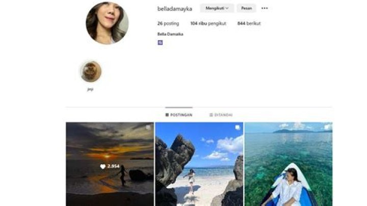 Bella Damaika LinkedIn: Is She Active On Instagram Or Facebook?