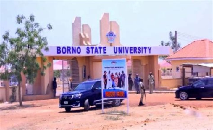 Borno State News Today | Daily Updates