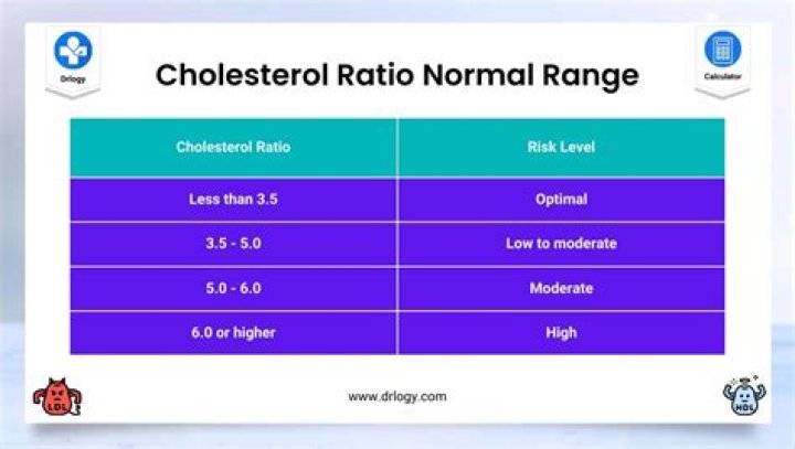 Cholesterol Calculator