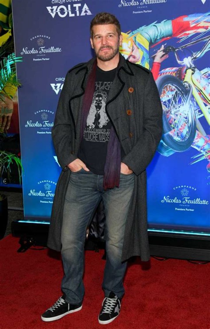 David Boreanaz’s biography: age, height, net worth, wife, shows