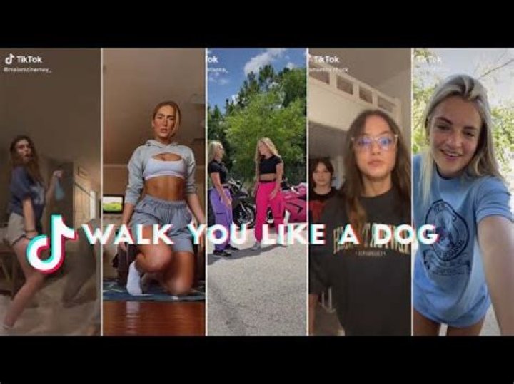 DayyDayy's Song "Walk You Like A Dog" Has Become TikTok's Newest Sensation