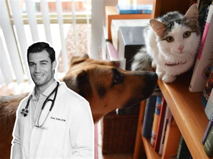 Evan Antin Veterinarian, Bio, Wiki, Age, Wife, and Net Worth