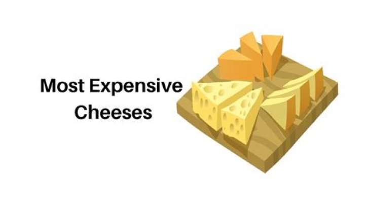 Expensive cheese 2019 - Legit.ng