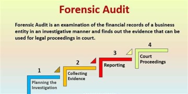 Forensic audit: definition, role, process and examples