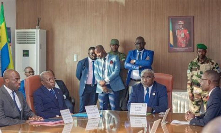 France charges 5 more of Gabon ex-leader's children: judicial source