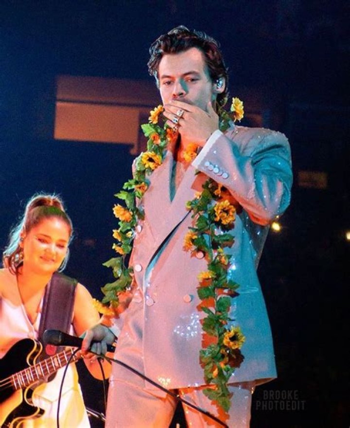Frat Boy Harry Styles Is Back and His Fans Can't Handle It — Details