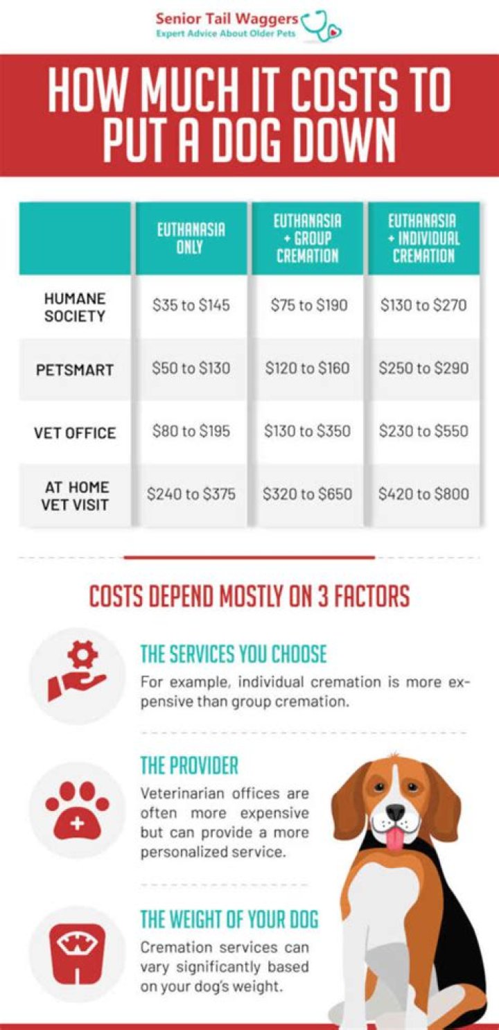 How Much Does It Cost to Put a Dog Down?