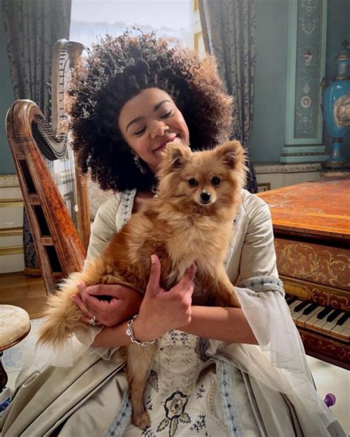 India Ria Amarteifio – Biography, Facts & Life Story