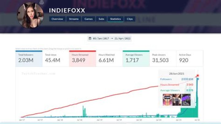 Indiefoxx Net Worth – How Much is Indiefoxx Worth?