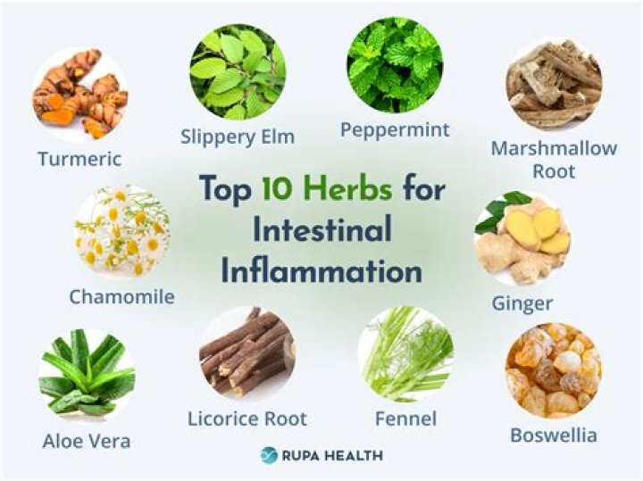 Infections - Here are 3 herbal remedies that treat staphylococcus without using antibiotics