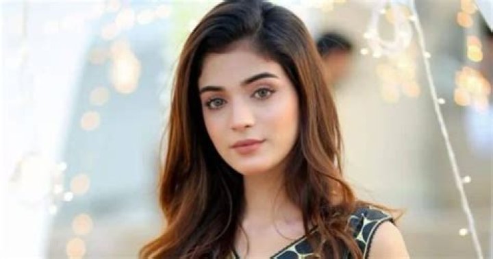 Laiba Zaid Net Worth, Bio, Early Life, Education, Career, Endorsements, Awards, Relationship Status, Scandal, Body Measurements, Social Media