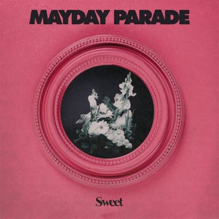 Lyrics & Translations of I Can't Do This Anymore by Mayday Parade