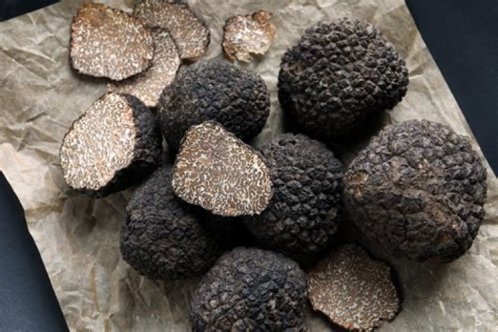 Most Expensive Truffles in 2024 – Valuable Truffles