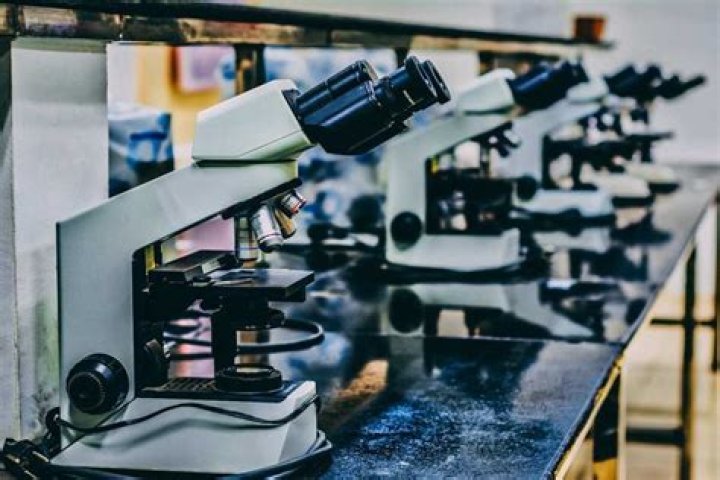 Science Laboratory Technology in Nigeria: duties, courses, jobs and salaries