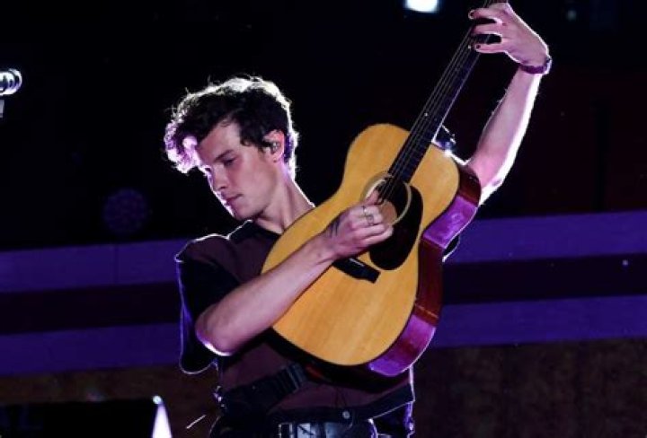 Shawn Mendes Reveals the Inspiration behind ‘Summer of Love’ Song