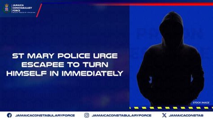 Suspect Hilariously Responds to Own Police Wanted Ad, Vows He'll Turn Himself In