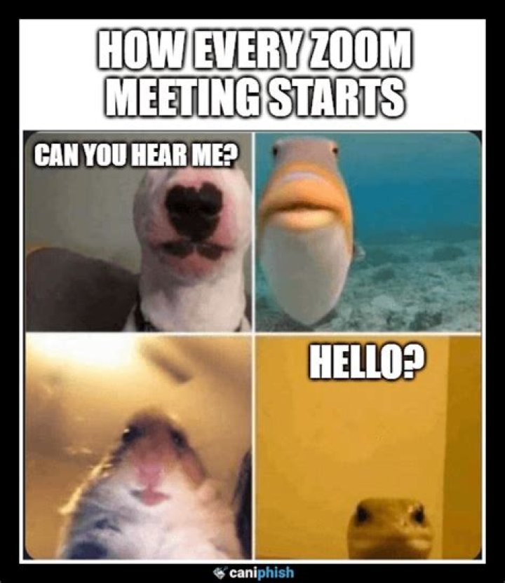 This Meme Perfectly Captures How Awkward the End of Every Zoom Meeting Truly Is