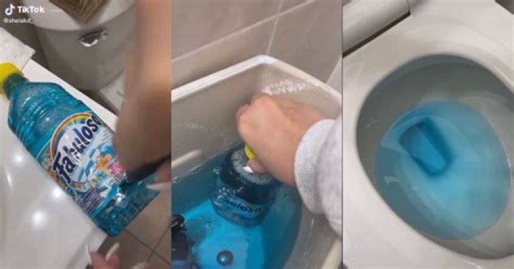 This TikTok Toilet Cleaner Hack Is so Genius You'll Wish You Thought of It