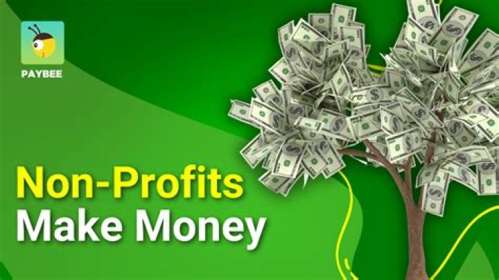 Understanding How Nonprofits Make Money | A US Guide