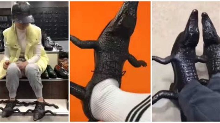Video of Man Rocking Bizarre Crocodile Shoes Leaves Internet Users Amused: "Lacoste Live and Direct"