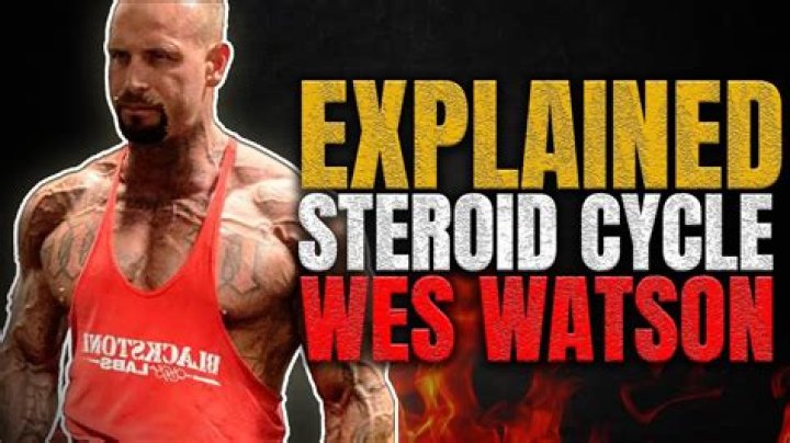 Wes Watson Steroids Allegations: Why Is He Being Called A Scam?
