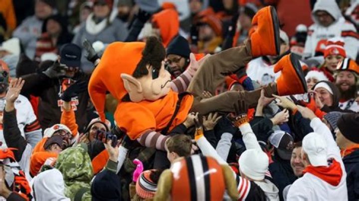 What's Up With the Cleveland Browns Mascot? Some Fans and Players Aren't Happy