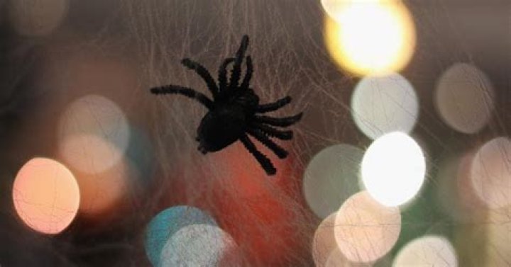 What Does Seeing a Spider on Halloween Mean? Here's What We Know