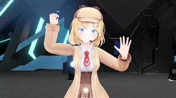 What Happened To The Vtuber?