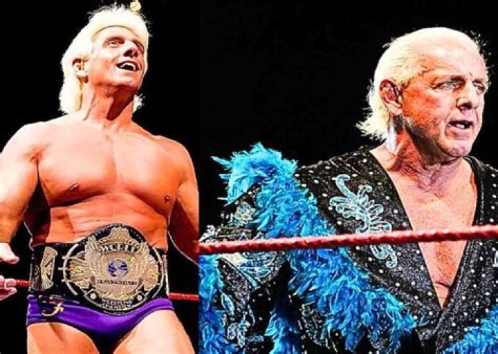 WWE Legend Ric Flair Responds to Alleged Train Scandal